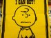 画像3: ct-130212-12 PEANUTS / 60's Banner "Charlie Brown" (3)
