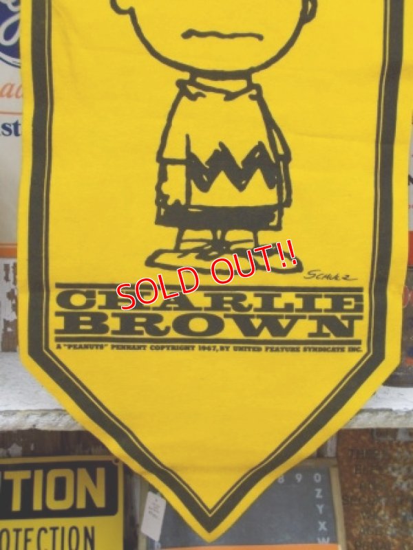 画像4: ct-130212-12 PEANUTS / 60's Banner "Charlie Brown"