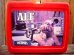 画像1: ct-120222-25 ALF / 80's Plastic Lunchbox (1)