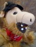 画像3: ct-130305-16 ALF / 80's Plush doll "No Problem" Red (3)