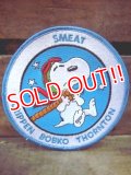 ct-120205-02 Snoopy / 70's NASA Official Patch