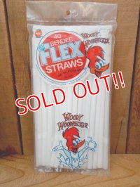 ct-120804-02 Woody Woodpecker / Deka 70's 40 Flex Straws