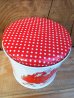 画像4: ct-120802-06 Starwberry Shortcake / 80's Tin case (M) (4)