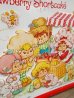 画像5: ct-121107-04 Strawberry Shortcake / Araddin 80's Metal Lunchbox (5)