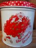 画像2: ct-120802-06 Starwberry Shortcake / 80's Tin case (M) (2)