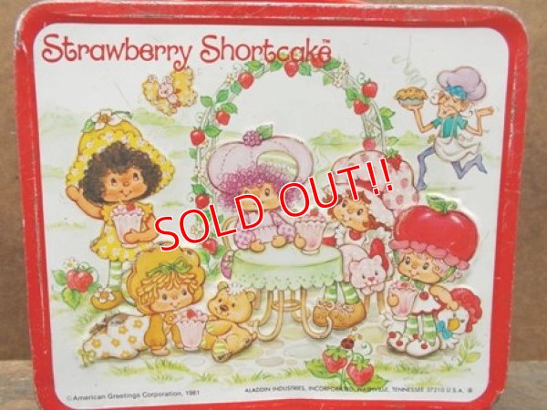 画像3: ct-121107-04 Strawberry Shortcake / Araddin 80's Metal Lunchbox