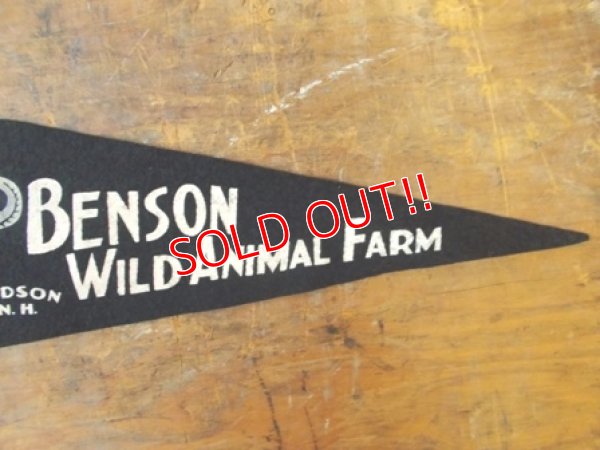 画像3: dp-130116-04 Benson Wild Animal Farm / 50's〜 Vintage Pennant