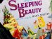 画像1: ct-121127-36 Sleeping Beauty / 60's Record (1)