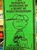 画像3: ct-130618-04 PEANUTS / 60's Banner "Charlie Brown" (3)