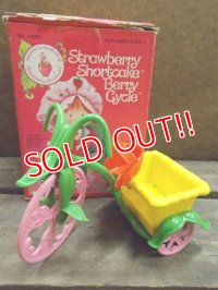 ct-120619-16 Strawberry Shortcake / Kenner 80's Berry Cycle