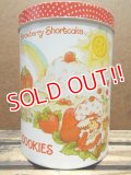ct-130716-23 Strawberry Shortcake / 80's Tin Canister (M)