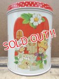 ct-130716-22 Strawberry Shortcake / 80's Tin Canister (S)