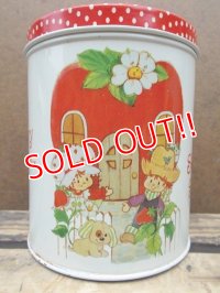 ct-130716-22 Strawberry Shortcake / 80's Tin Canister (S)