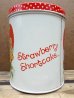 画像3: ct-130716-22 Strawberry Shortcake / 80's Tin Canister (S) (3)