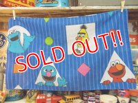 ct-120911-13 Sesame Street / 90's Pillow case