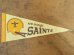 画像1: dp-722-06 NFL 70's mini Pennant "The New Orleans Saints" (1)