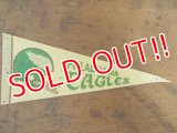 dp-722-04 NFL 70's mini Pennant "Philadelphia Eagles"