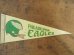 画像1: dp-722-04 NFL 70's mini Pennant "Philadelphia Eagles" (1)