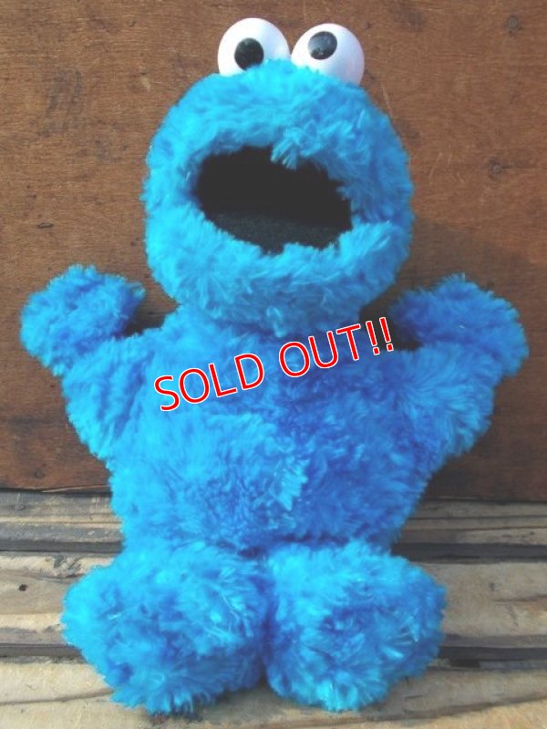 画像1: ct-130521-46 Cookie Monster / Gund 2002 Plush doll