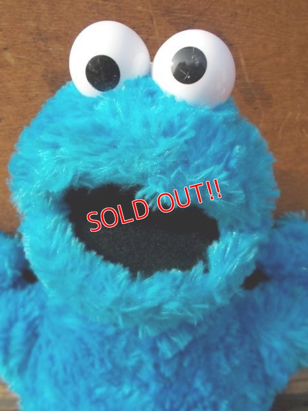 画像2: ct-130521-46 Cookie Monster / Gund 2002 Plush doll