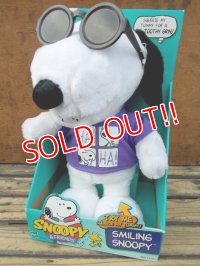 ct-130716-63 Joe Cool / Hasbro 90's Smiling Snoopy Plush doll