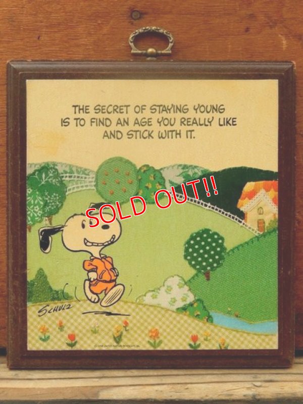 画像1: ct-130716-50 Snoopy / Hallmark Early 80's Wall Picture