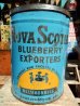画像1: dp-131001-09 Nova Scotia Blueberry Expoters Tin (1)