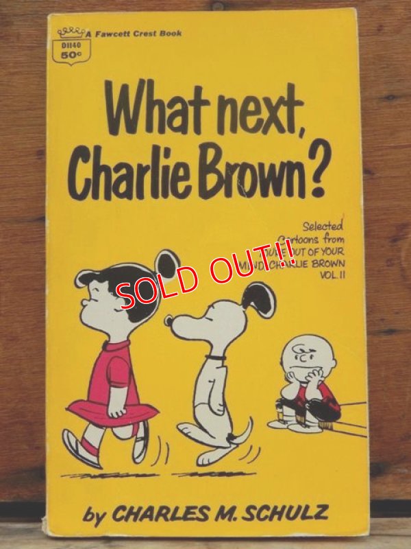 画像1: bk-1001-10 PEANUTS / 1968 Comic "Waht Next,Charlie Brown?"