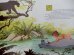 画像5: ct-131015-08 The Jungle Book / 60's Record (5)