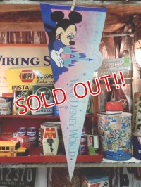 ct-130924-20 Walt Disney World / 90's Pennant