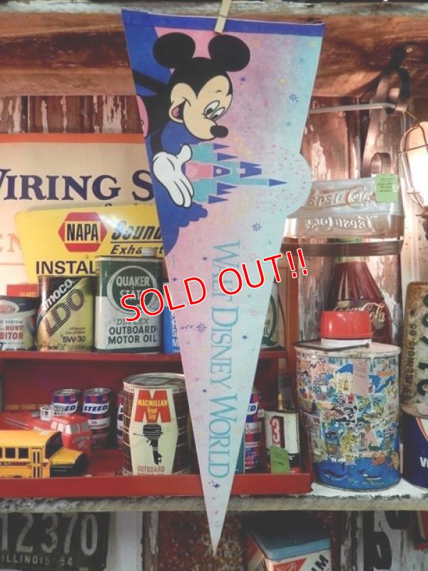 画像1: ct-130924-20 Walt Disney World / 90's Pennant