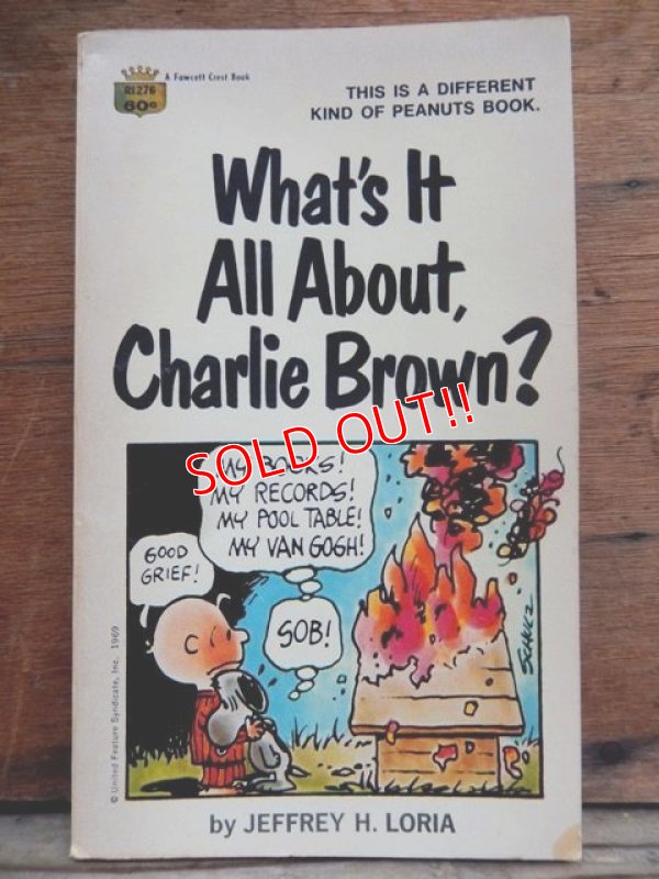 画像1: bk-131029-02 PEANUTS / 1969 What's It All About,Charlie Brown?