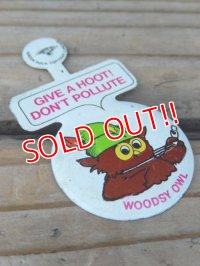 ct-110928-06 Woodsy Owl / 70's Pins