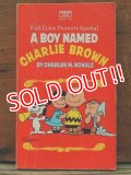 bk-131121-08 PEANUTS / 1971 A BOY NAMED CHARLIE BROWN!