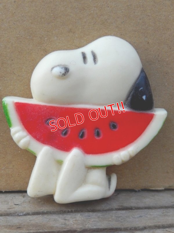 画像1: ct-131201-48 Snoopy / 70's Magnet "Watermelon"