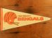 画像1: dp-722-07 NFL 70's mini Pennant "Cicinnati Bengals" (1)