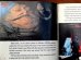 画像3: ct-131210-09 STAR WARS / Return of the Jedi Book and Record (3)