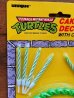 画像3: ct-131211-03 Teenage Mutant Ninja Turtles / 1992 Cake Decorator (3)