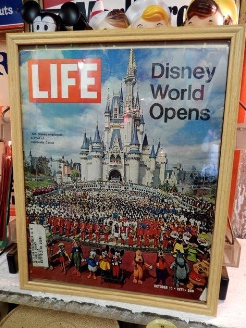 他の写真3: ct-140114-02 LIFE / October 15. 1971 Disney World Opens