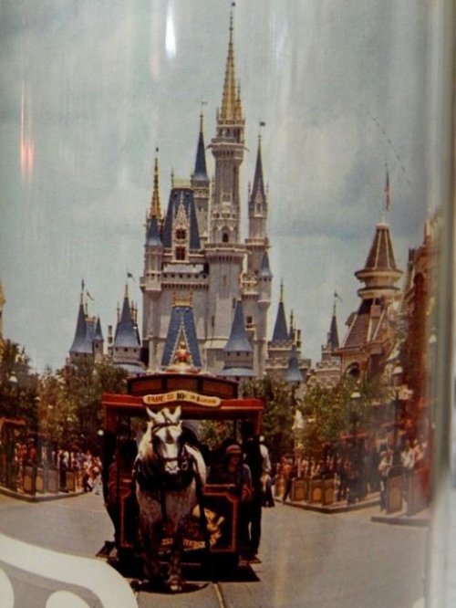 他の写真2: ct-140121-28 Walt Disney World / 70's-80's Plastic Mug