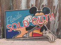 ct-140121-69 Mickey Mouse /  Magnet "Florida"