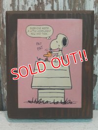 ct-140204-11 Snoopy / 70's-80's Wood Wall Deco