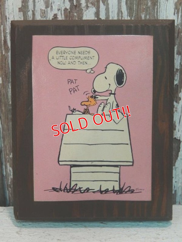 画像1: ct-140204-11 Snoopy / 70's-80's Wood Wall Deco