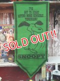 ct-140211-06 PEANUTS / 60's Banner "Snoopy" Green