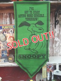 ct-140211-06 PEANUTS / 60's Banner "Snoopy" Green