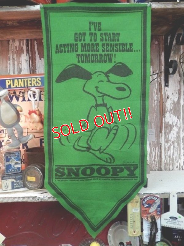 画像1: ct-140211-06 PEANUTS / 60's Banner "Snoopy" Green