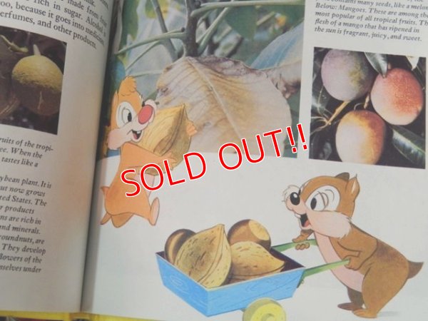 画像5: bk-131022-10 Disney's Wonderful World Of Knowledge Vol.2 Picture Book