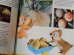 画像5: bk-131022-10 Disney's Wonderful World Of Knowledge Vol.2 Picture Book (5)