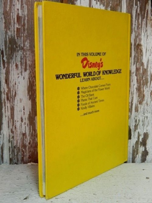 他の写真3: bk-131022-10 Disney's Wonderful World Of Knowledge Vol.2 Picture Book