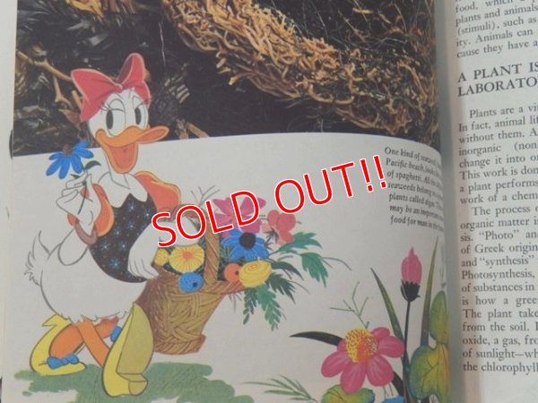 画像2: bk-131022-10 Disney's Wonderful World Of Knowledge Vol.2 Picture Book